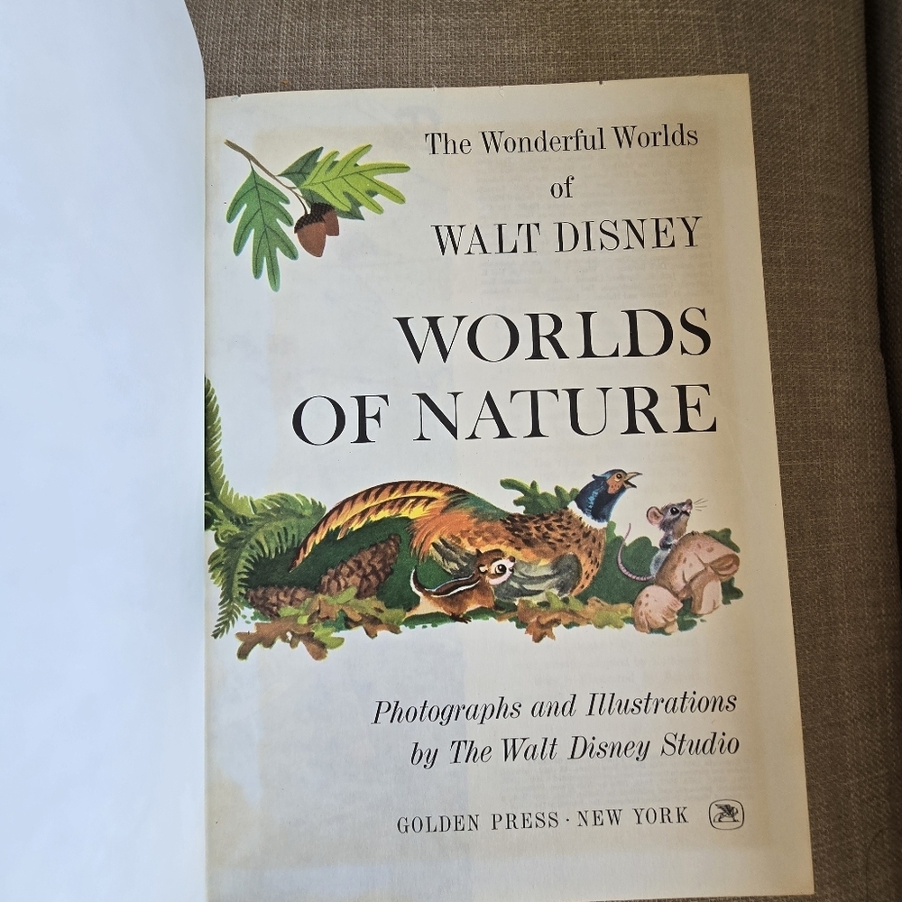 Vintage Walt Disney Wonderful Worlds Books Set of 2 1965 Golden Press - Picture 9 of 13